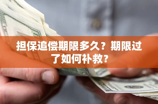 武汉担保追偿期限多久？期限过了如何补救？