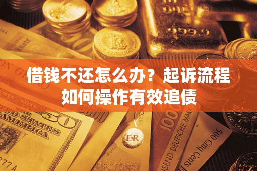 武汉借钱不还怎么办？起诉流程如何操作有效追债
