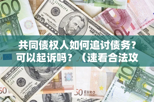 武汉共同债权人如何追讨债务？可以起诉吗？（速看合法攻略）