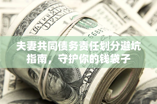 武汉夫妻共同债务责任划分避坑指南，守护你的钱袋子