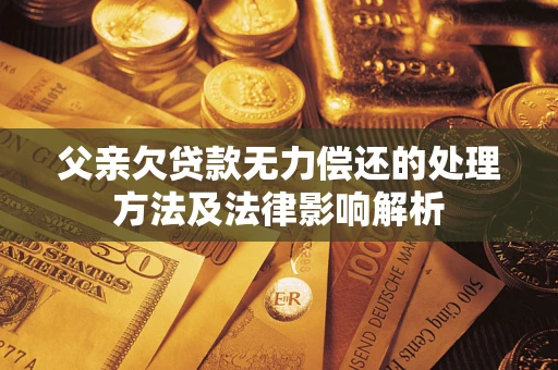 武汉父亲欠贷款无力偿还的处理方法及法律影响解析
