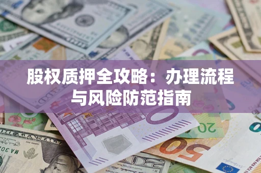 武汉股权质押全攻略：办理流程与风险防范指南
