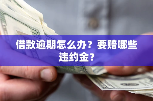 武汉借款逾期怎么办？要赔哪些违约金？