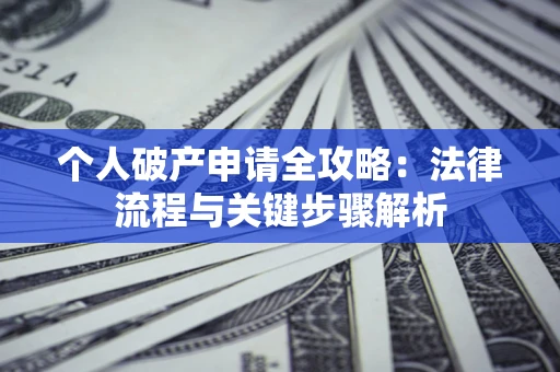 武汉个人破产申请全攻略：法律流程与关键步骤解析